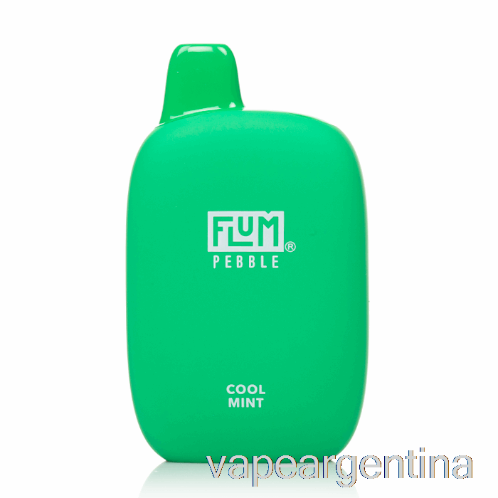 Flum Pebble 6000 Vaporizador Desechable Cool Mint Argentina